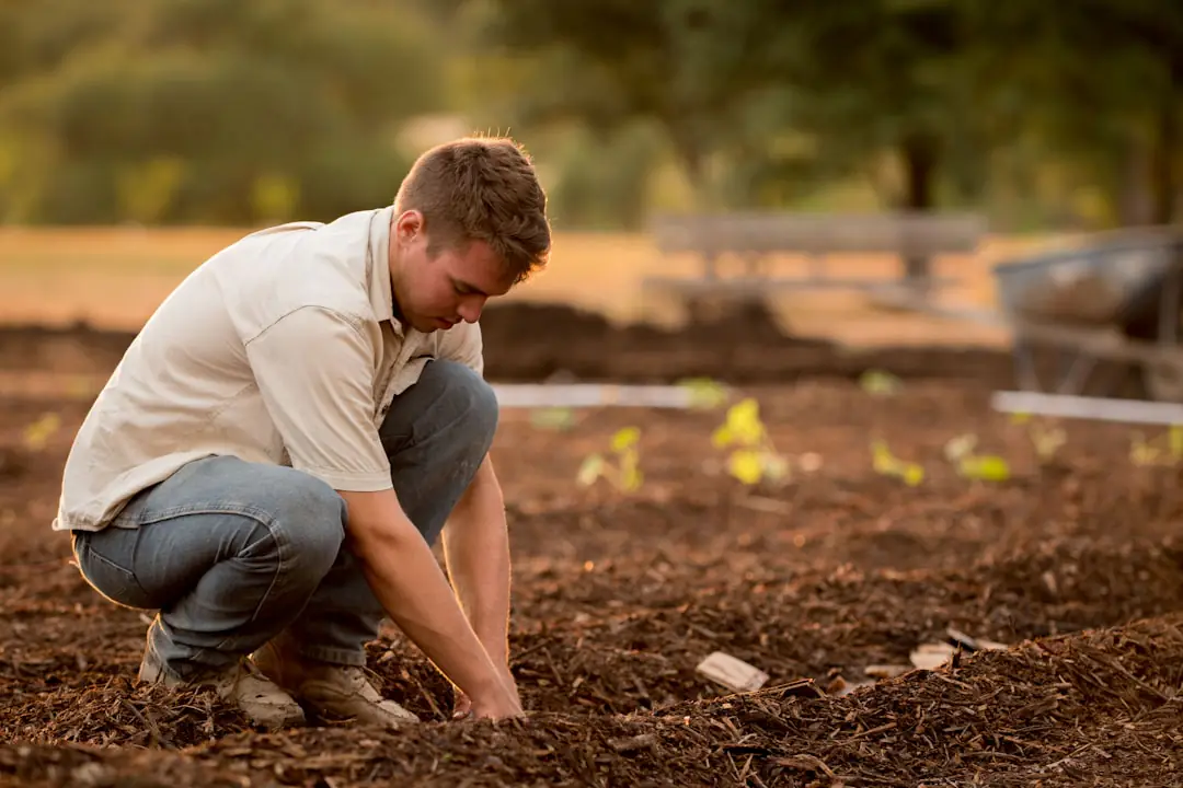 Table de jardin avec sachets de graines, godets récupérés et jeunes plants prêts pour un troc local
