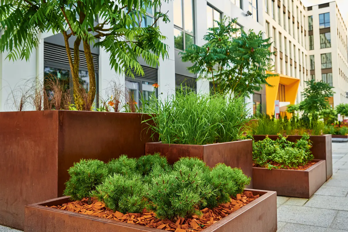 Jardinière urbaine en bois sur un balcon français, feuillage sain et arrosage doux au matin