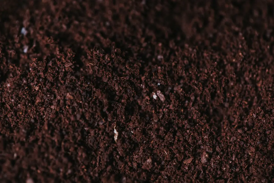 Jardinier protégeant un sol de potager en janvier avec compost et feuilles sur des planches non tassées