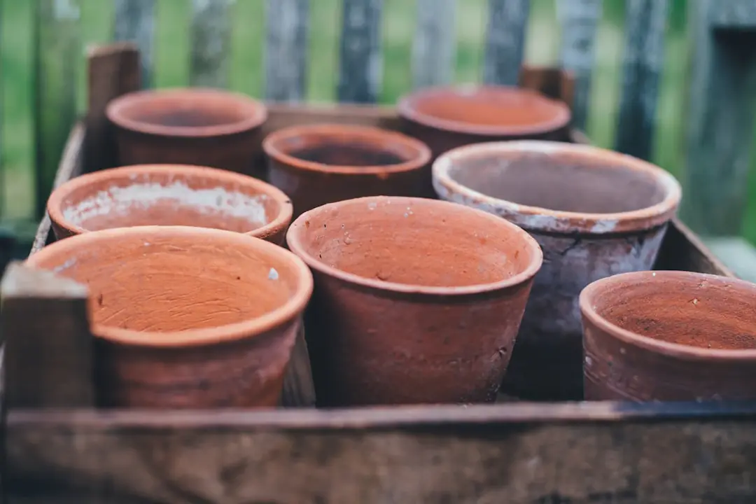 Pot en terre cuite cassé transformé en mini-jardin de joubarbes, entouré de tessons dans un jardin français