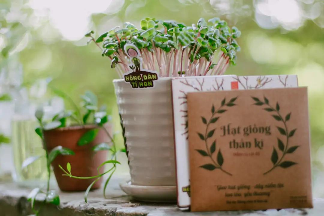 Sélection de petits outils, semences et accessoires de jardin posés sur une table en bois au potager.