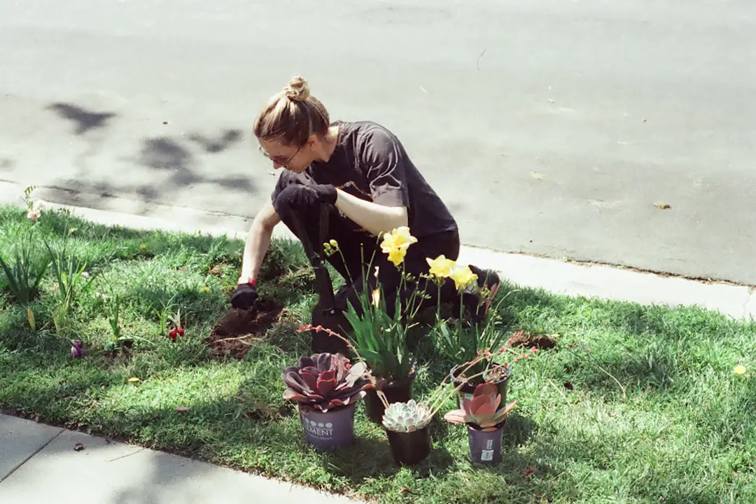 Jardinier paillant un potager diversifié avec des feuilles, fleurs mellifères et légumes en pleine lumière