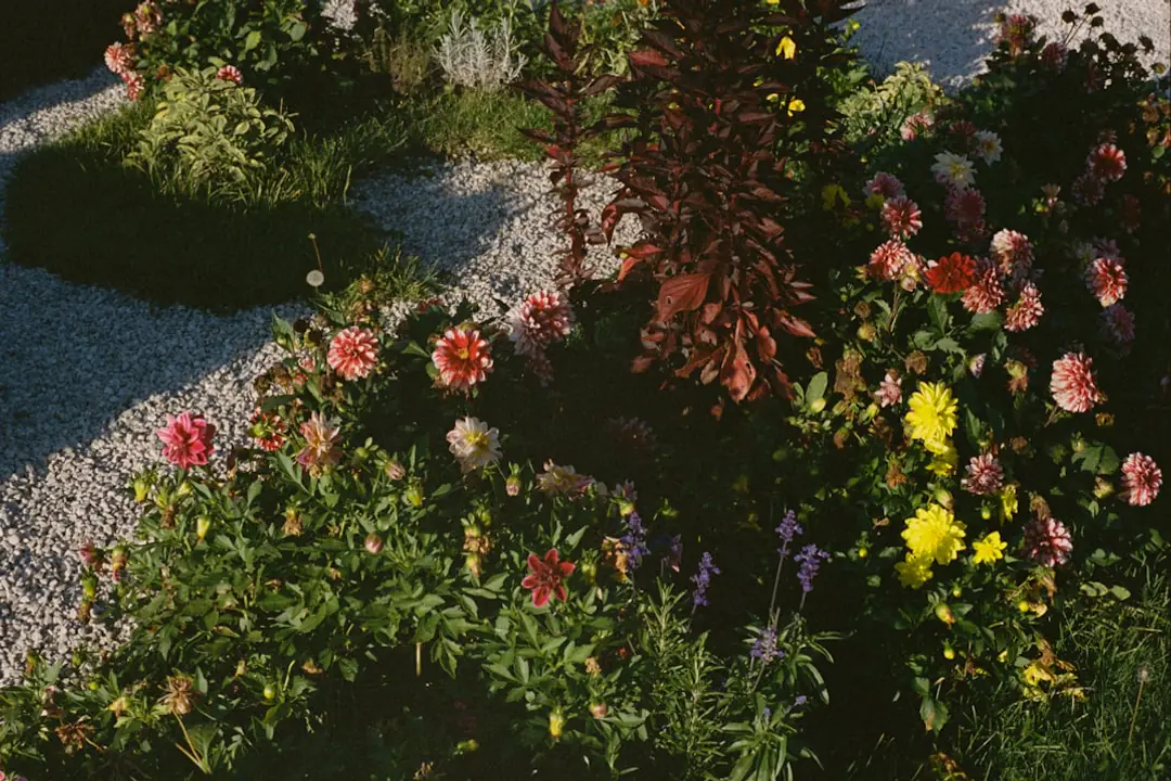 Participants de tous âges préparent des semis sur une table dans le jardin d’une bibliothèque de quartier