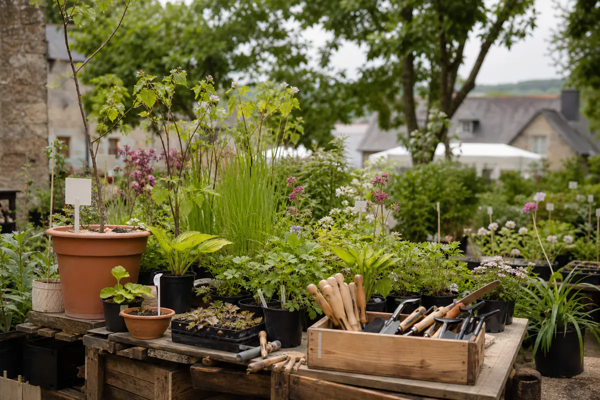 Visiteurs comparant des plants, des arbustes et des outils sur les stands d’une foire du jardinage en plein air.