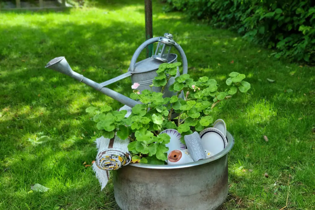 Potager français compact avec concombres et haricots grimpant sur des treillis en bois sous lumière naturelle
