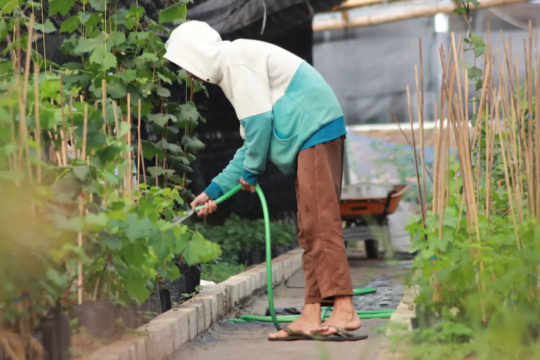 Jardinière débutante semant des salades dans un petit potager paillé, entouré d’aromatiques et de fleurs