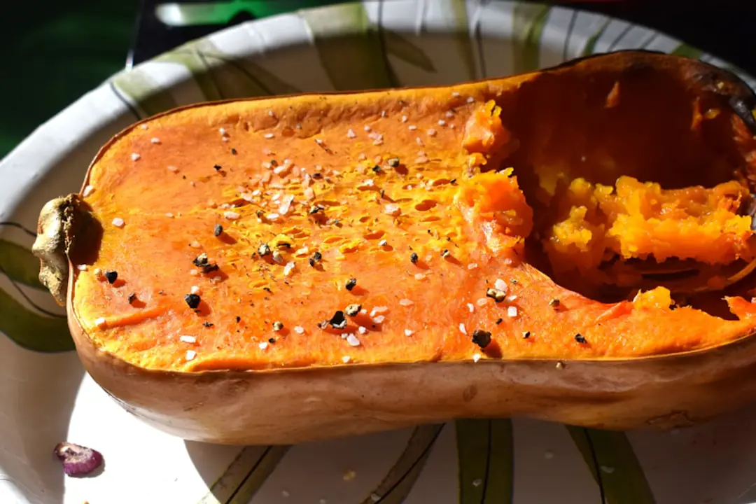 Courges butternut mûres fraîchement récoltées sur un paillage sec dans un potager français en automne