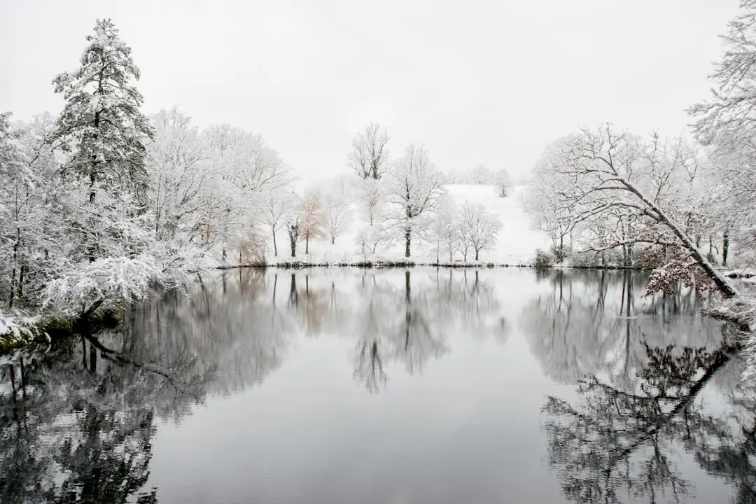 Jardinier arrosant lentement un arbuste persistant en pot lors d’une douce journée d’hiver au jardin