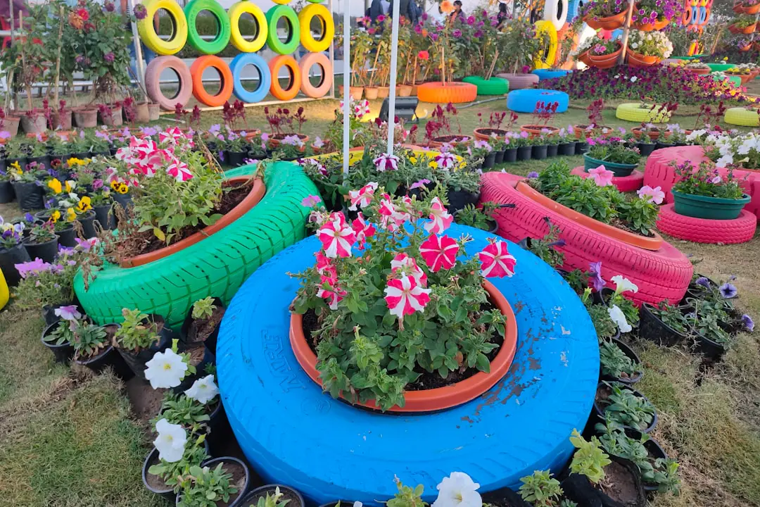 Bénévoles d’un club de jardinage tenant une vente de plantes étiquetées dans une salle décorée sobrement pour Noël.