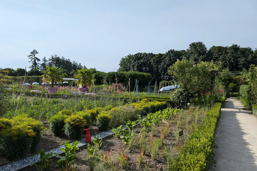 Candidate préparant sa demande de bourse pédagogique jardinage devant un potager collectif bien organisé
