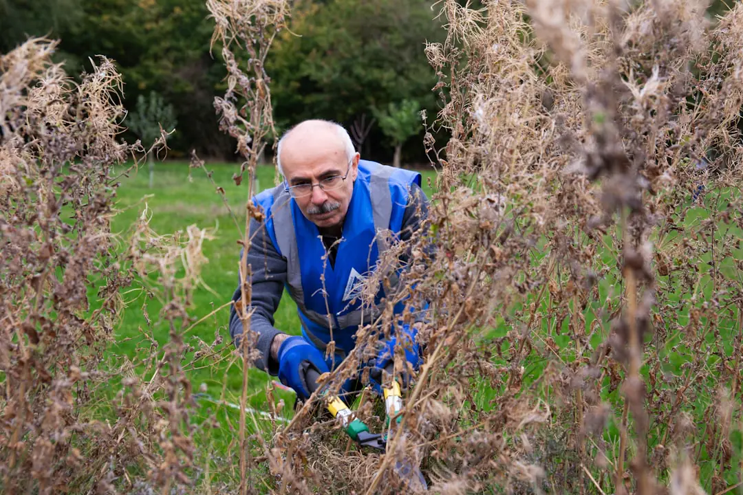 Calendrier de jardinage posé sur un établi, entouré de graines, de sécateurs et de jeunes plants au jardin