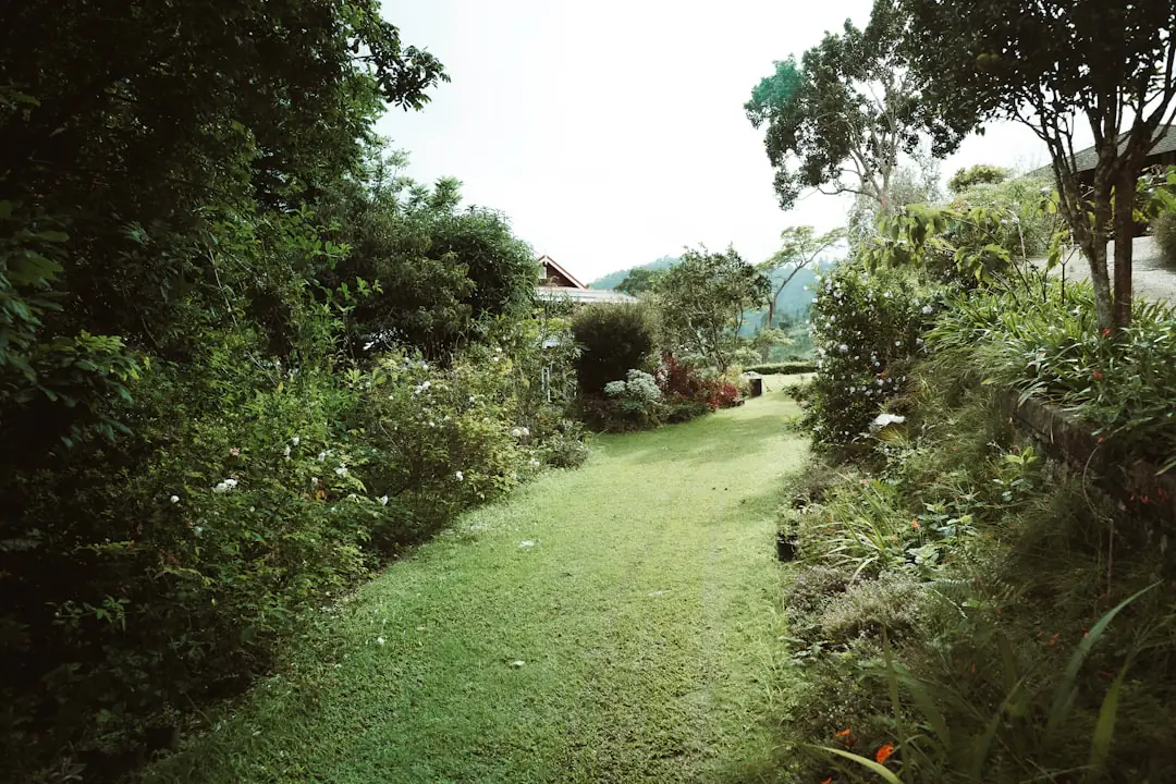 Coin détente d’un jardin français apaisant, entouré de graminées, vivaces fleuries et d’un paillage naturel