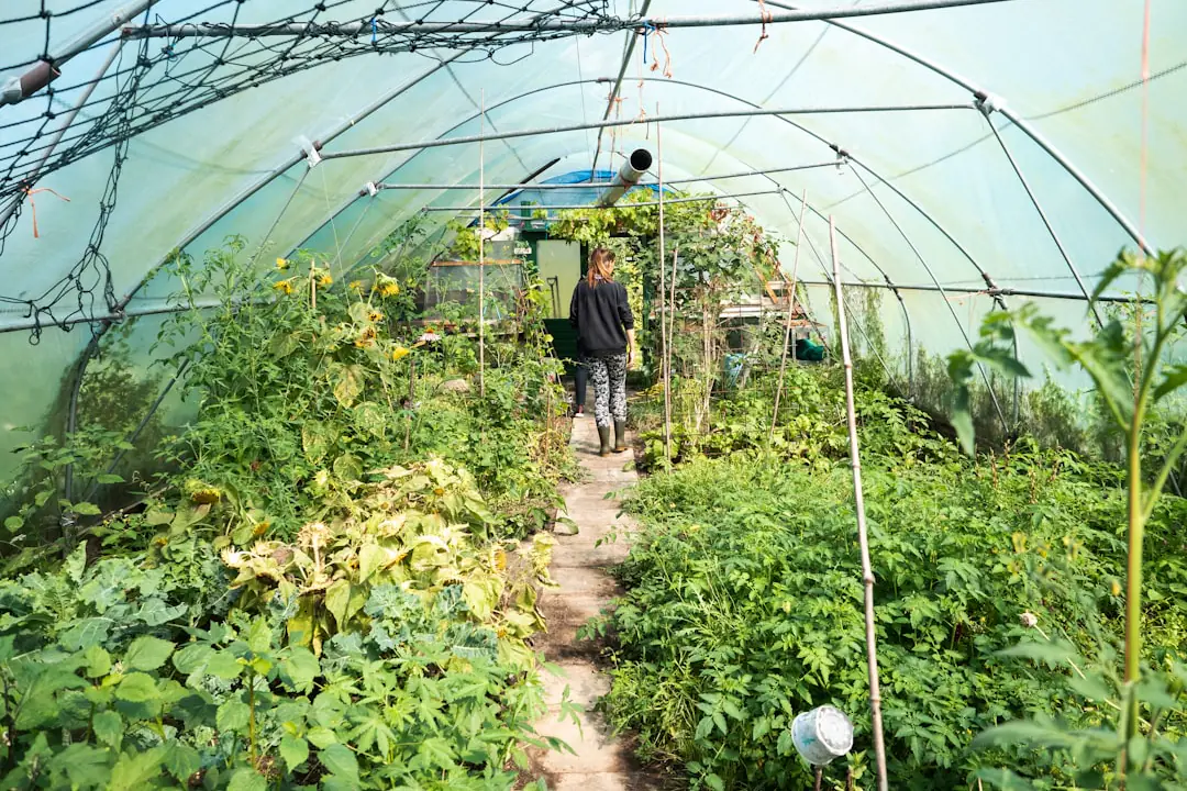 Personne âgée et enfant récoltant des tomates cerises dans un potager surélevé accessible et fleuri.