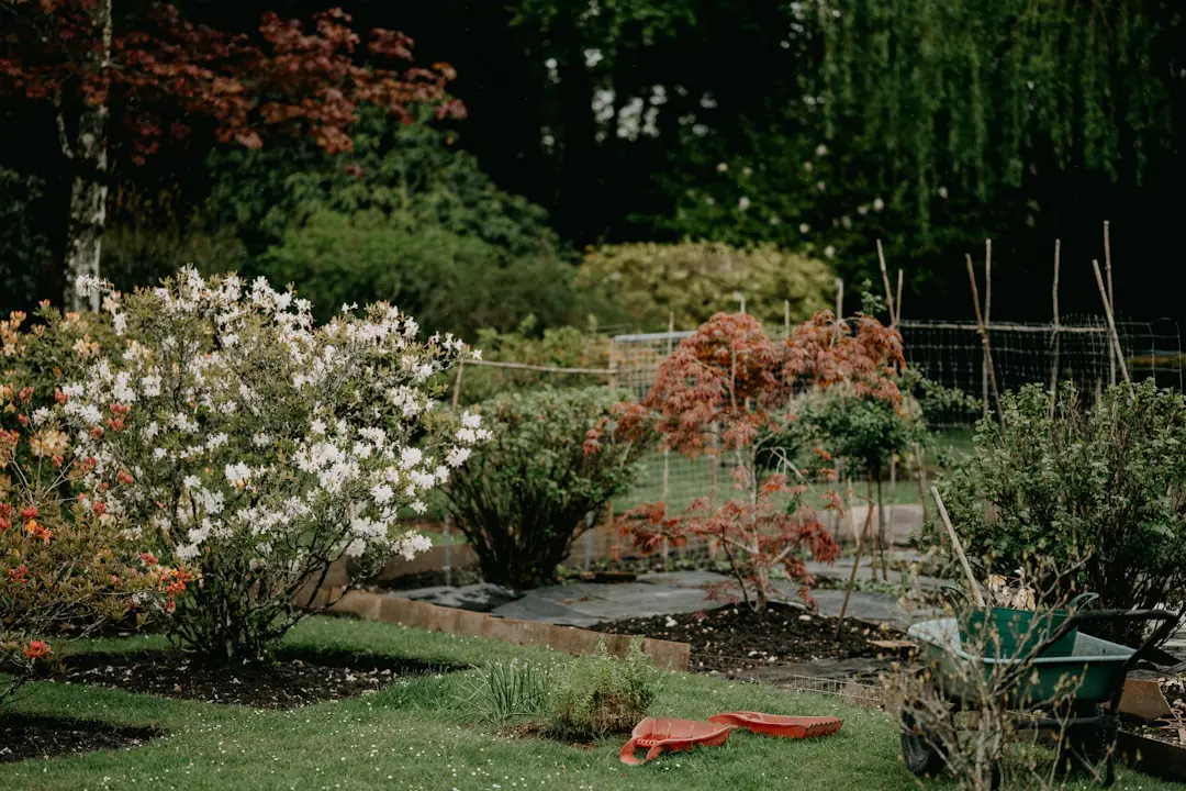 Jardin familial naturel avec potager paillé, fleurs mellifères, composteur et récupération d’eau sous lumière douce