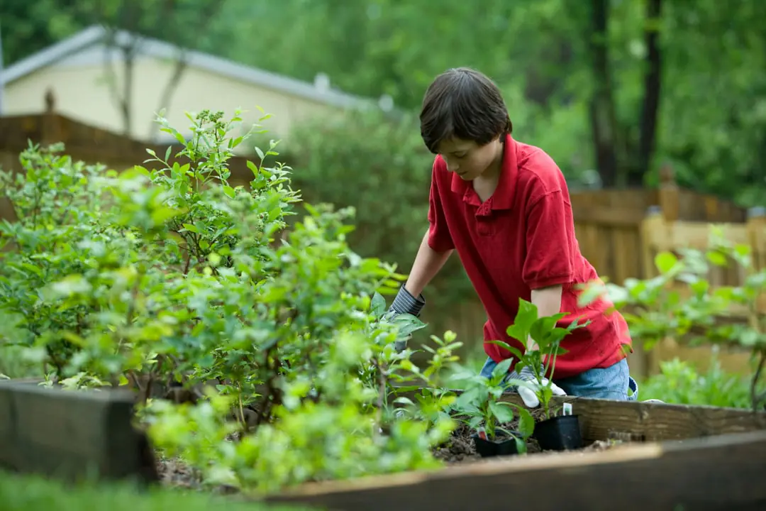 Enfants de maternelle semant et arrosant des légumes dans des bacs potagers sécurisés d’une cour d’école.