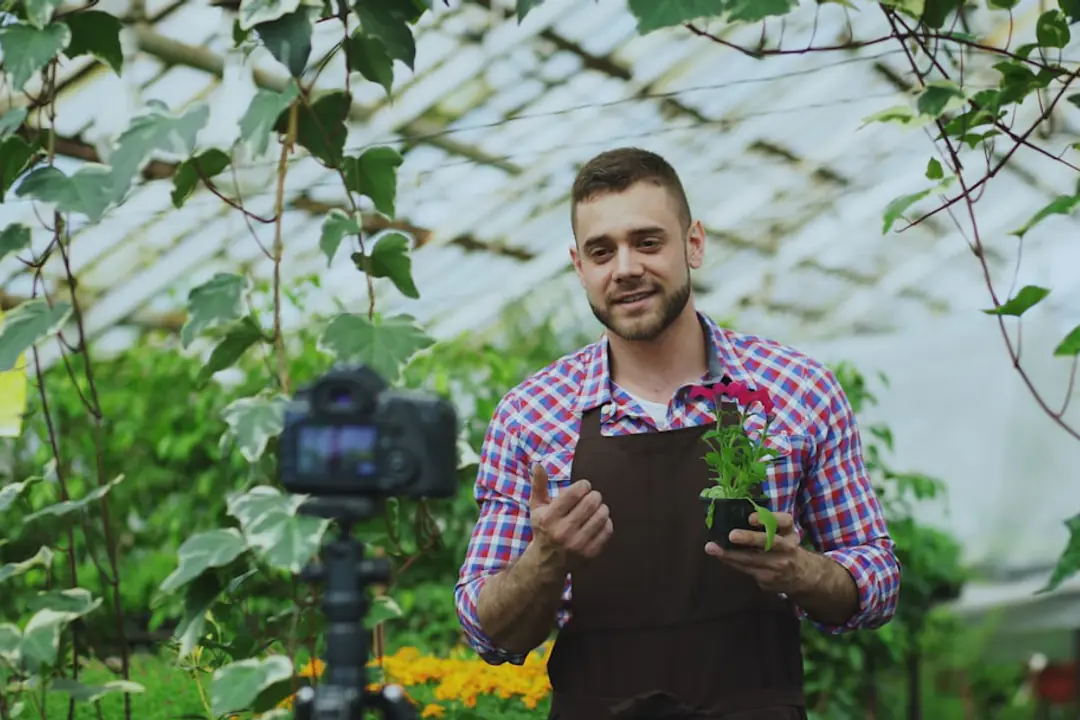 Jardinier observant l’humidité d’un potager paillé, sécateur et panier de récolte à portée de main