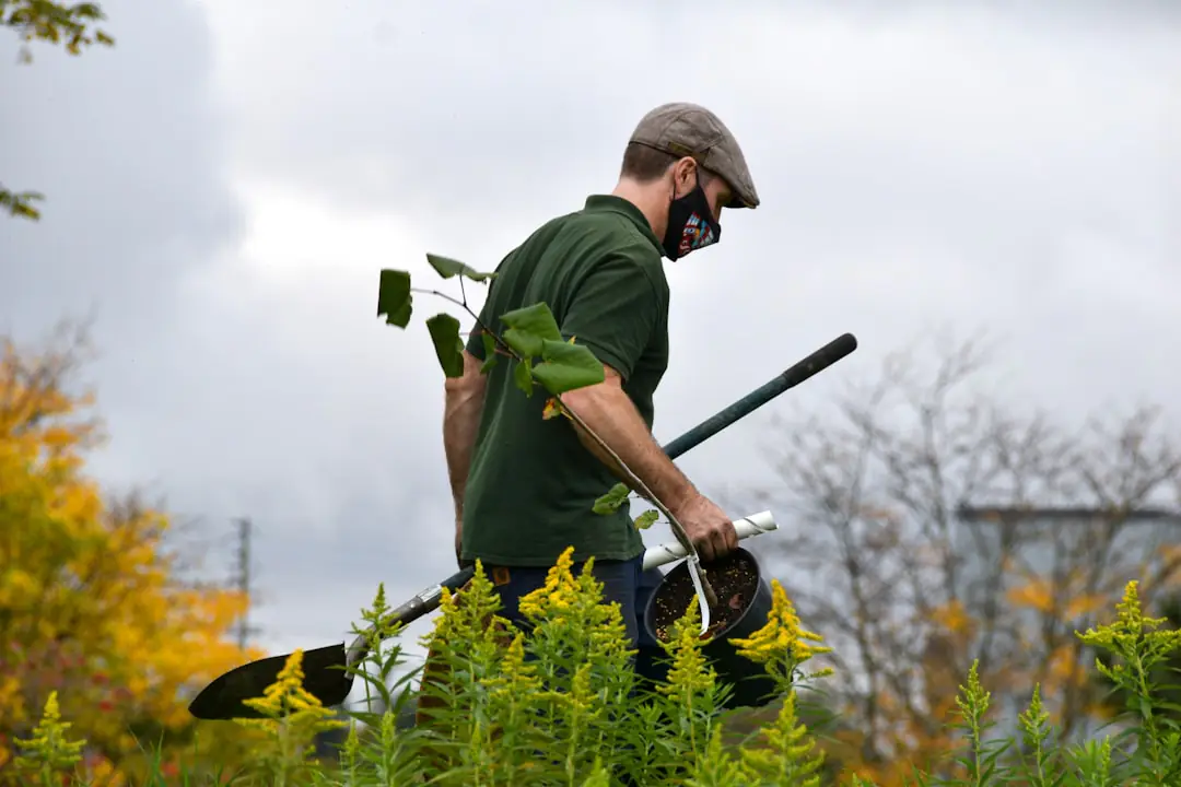 Jardinier observant l’humidité d’un massif fleuri avant d’arroser, avec outils manuels et paillage naturel