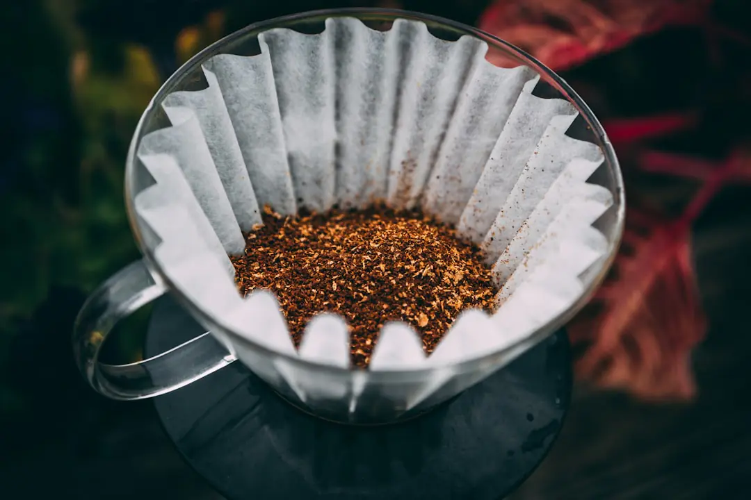 Marc de café séché dans un bac près d’un composteur, prêt à être mélangé aux feuilles mortes du jardin