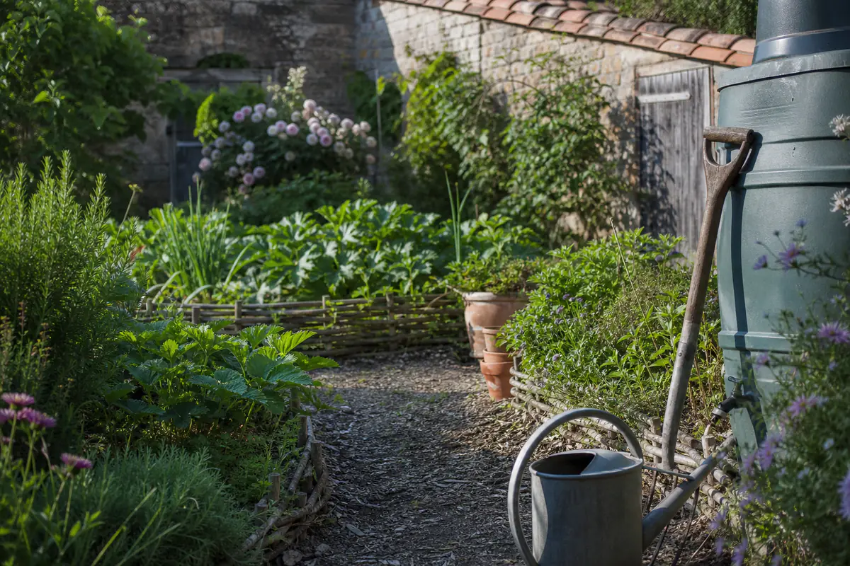 Jardin familial français avec potager paillé, récupérateur d’eau et outils entretenus près d’un massif fleuri