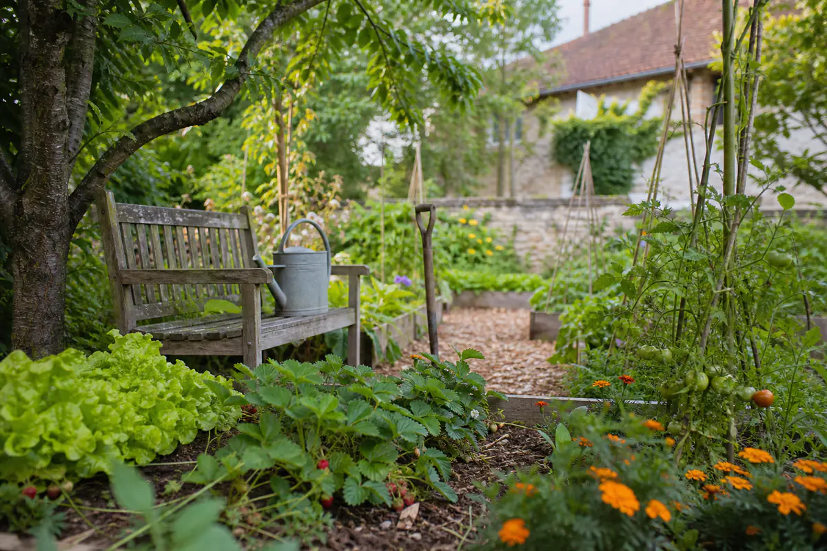 Espace de loisirs potager familial avec bacs de légumes, banc en bois, allée paillée et fleurs au soleil