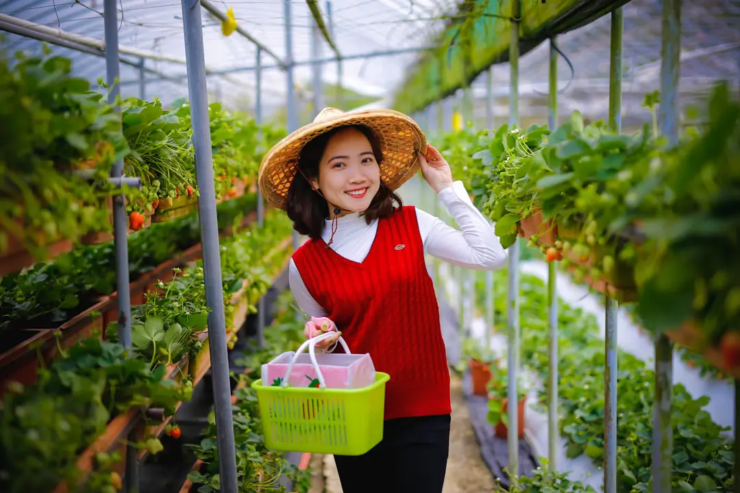 Jardin potager français sain avec paillage, fleurs mellifères, compost et légumes cultivés naturellement