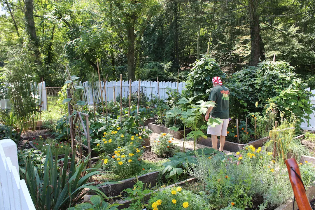 Jardiniers bénévoles échangeant des gestes de paillage autour de parcelles potagères dans un jardin de quartier