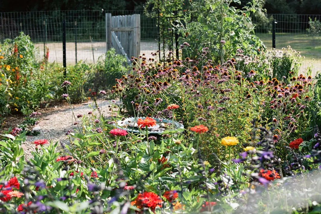 Bénévoles installant des bacs potagers fleuris près d’une église dans un jardin partagé verdoyant