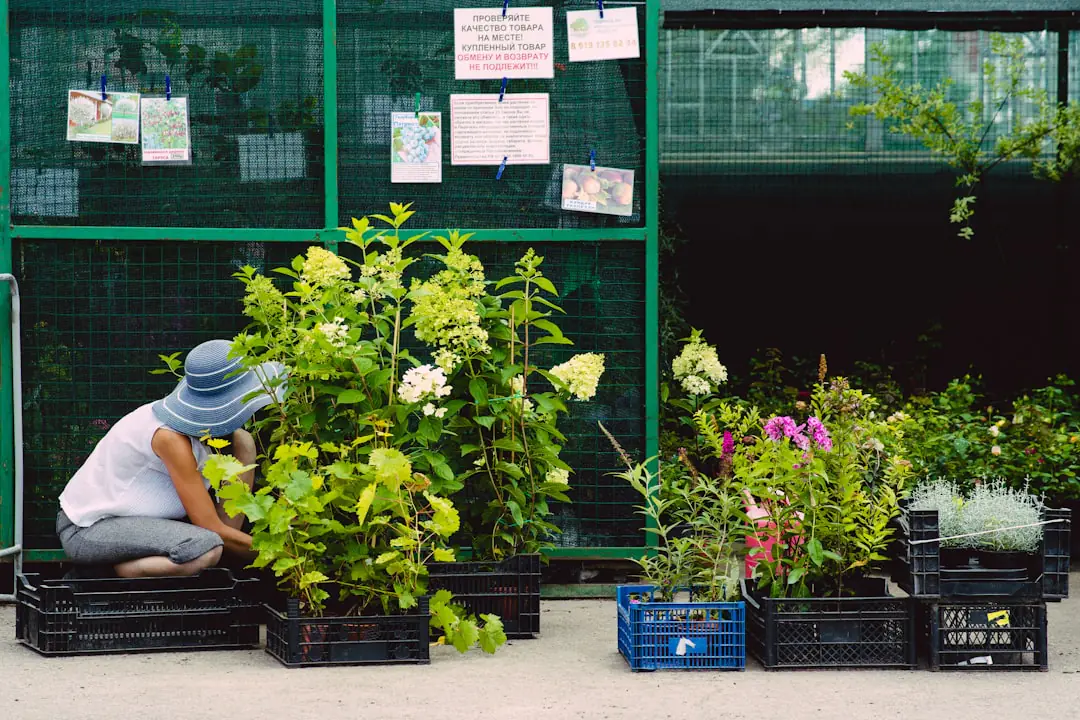 Écoliers plantant des vivaces et des fleurs mellifères dans un jardin scolaire paillé et étiqueté