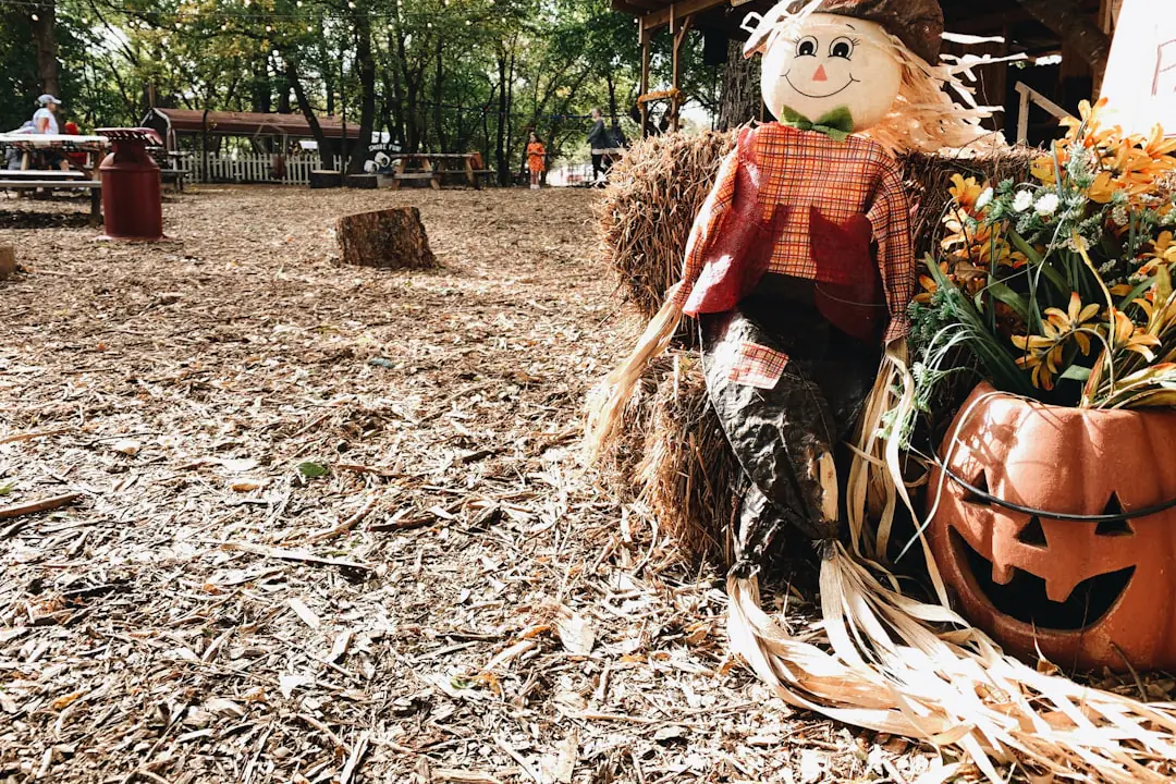 Jeunes jardiniers assemblant un épouvantail en paille et vêtements récupérés au bord d’un potager collectif