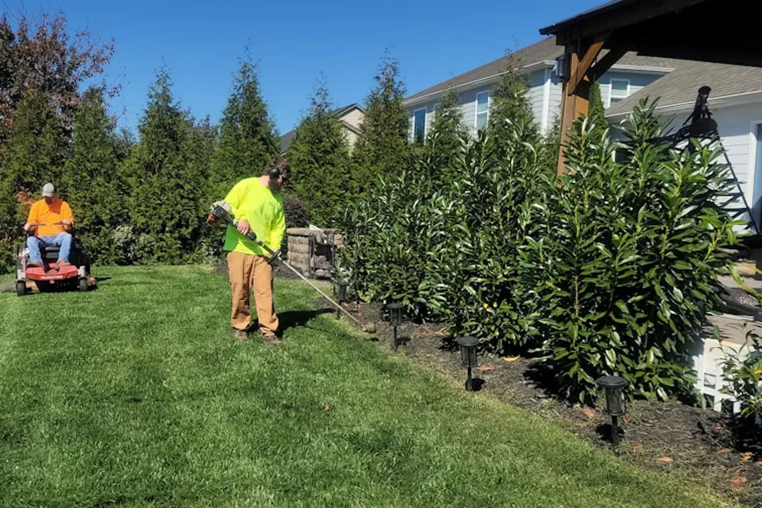 Jardinier paillant un potager d’automne près de jeunes arbustes et de feuilles saines dans un jardin français