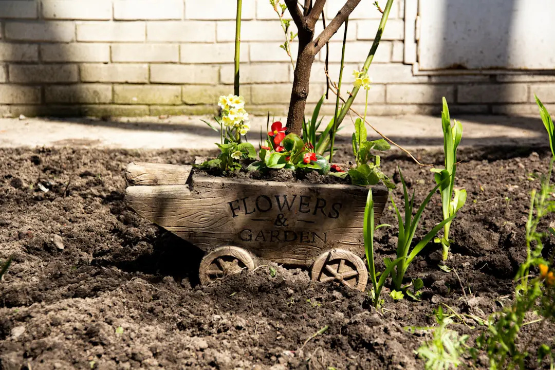 Jardinier français préparant des semis et taillant un rosier dans un jardin familial en février