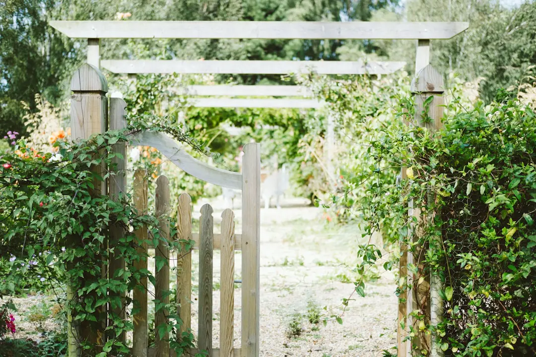 Jardin français naturel avec terrasse en bois, massifs fleuris, potager et allée perméable au soleil doux