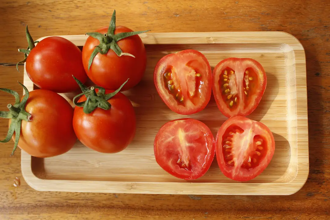 Pieds de tomates tuteurés et espacés dans un potager français, paillés sous un abri ouvert et ventilé