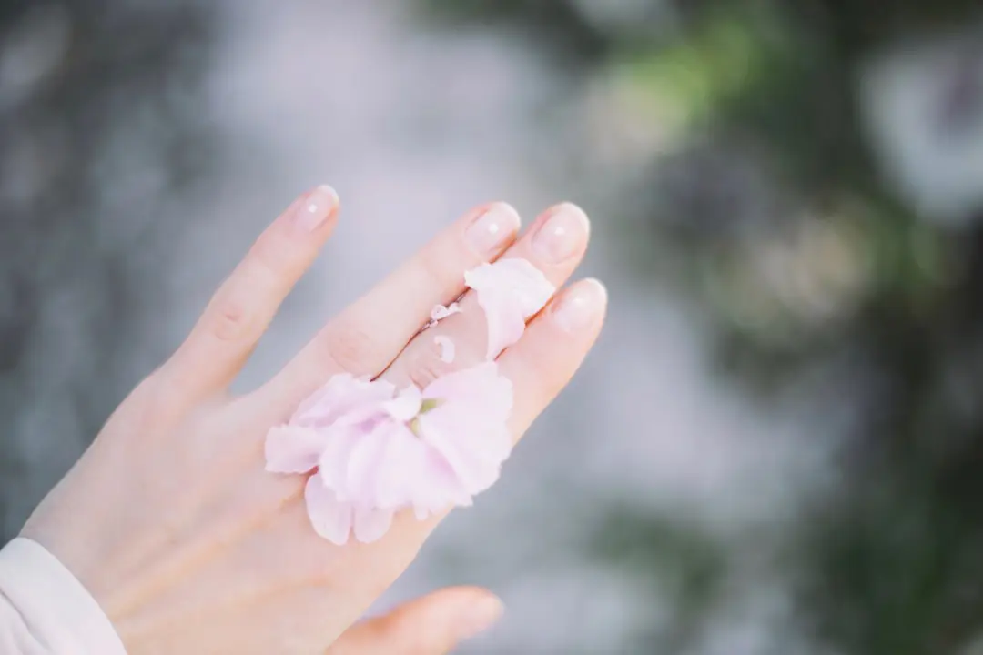 Mains gantées rempotant une plante sur une table de jardin avec brosse à ongles et savon à proximité.