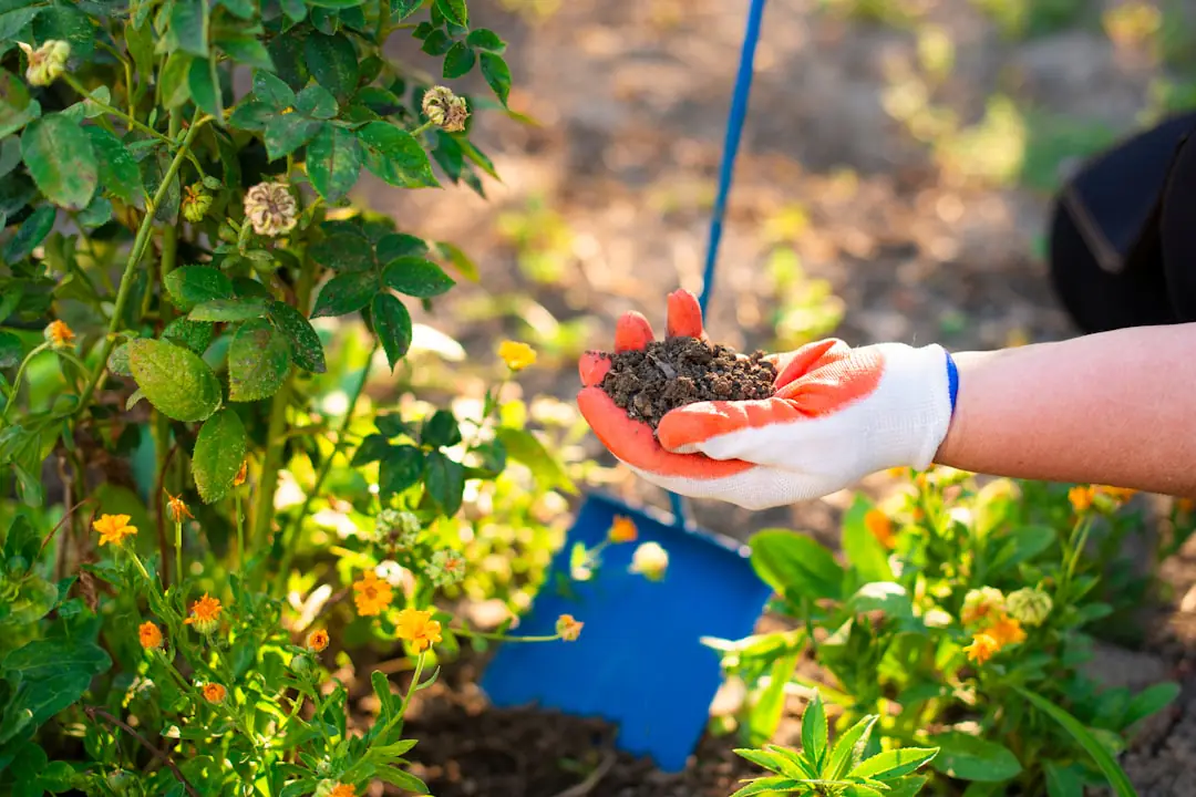 Jardinière souriante entretenir des aromatiques et des jeunes légumes sur un balcon fleuri et lumineux