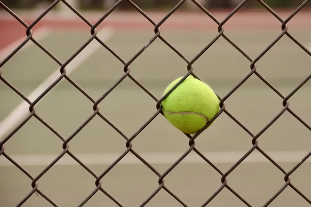 Balles de tennis usées coiffant des tuteurs sous un voile d’hivernage dans un potager français en hiver