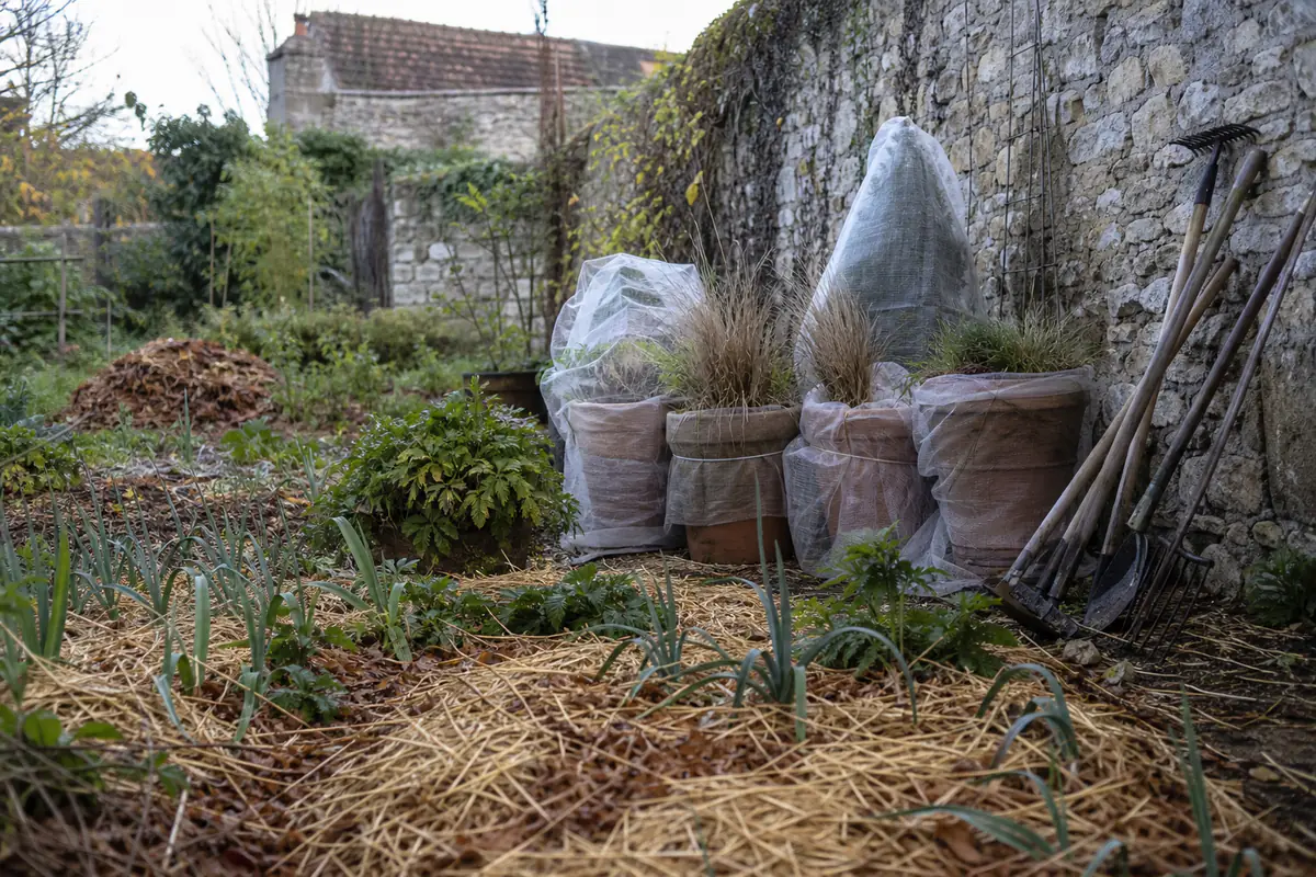 Jardin français en automne avec feuilles ramassées, paillis au potager et pots protégés avant l’hiver