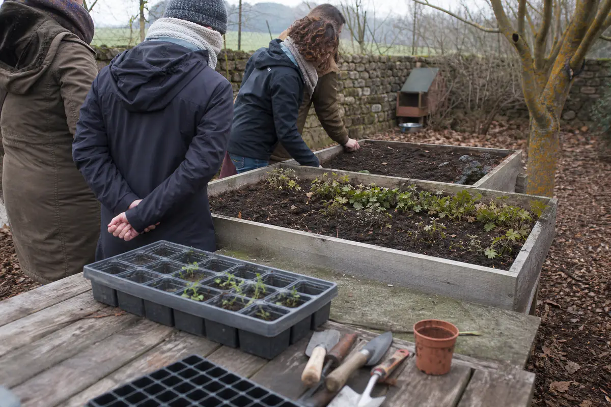 Participant à un cours de jardinage en février observant un potager et préparant des semis sous abri