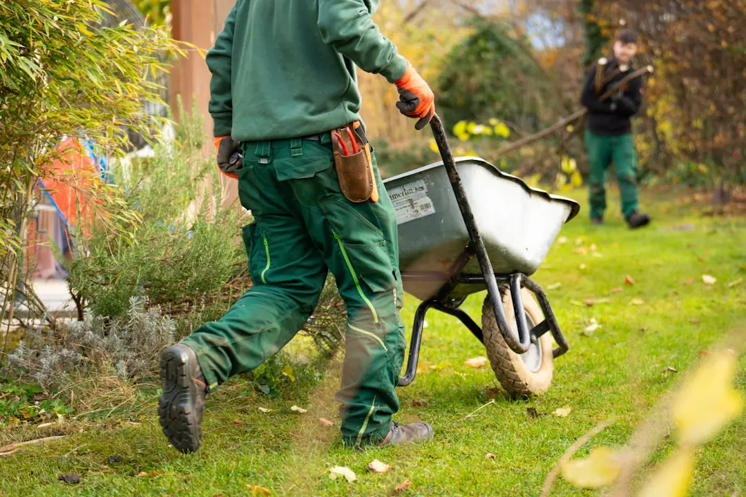 Jardinier comparant un sécateur manuel et un outil sur batterie sur un établi en bois au jardin