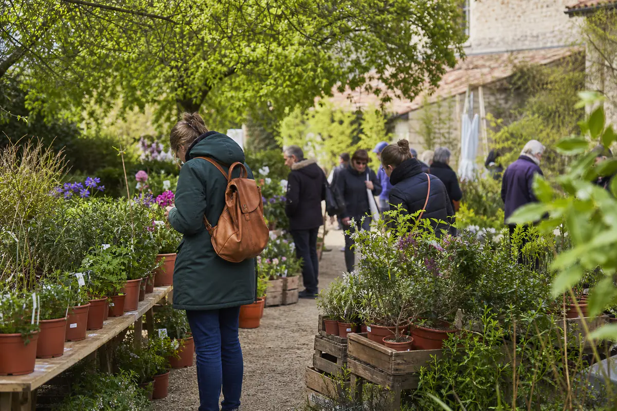Visiteurs examinant des vivaces fleuries et des plants aromatiques sur des stands de Floralies en plein air