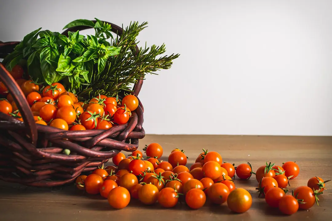 Panier de poireaux, mâche, panais et chou frisé récoltés dans un potager français lumineux en mars
