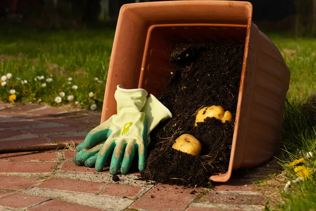 Jardin français naturel et structuré avec paillage, vivaces fleuries, potager compact et récupération d’eau