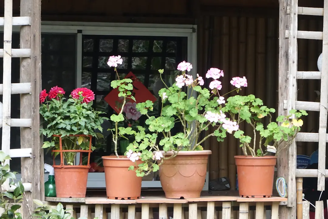 Sélection d’outils de jardinage manuels propres et durables rangés sur un établi en bois dans un jardin français
