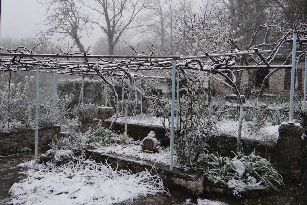 Jardin français en décembre avec massifs paillés, pots protégés et feuilles rassemblées sous une haie