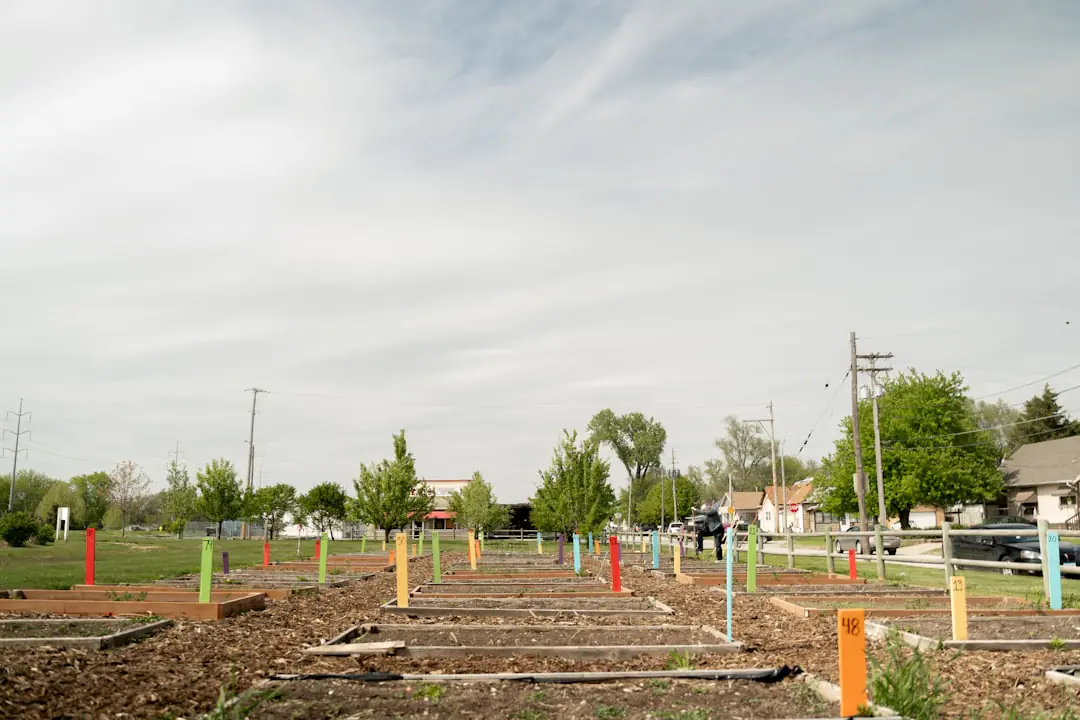 Jardin partagé urbain méditerranéen avec parcelles paillées, aromatiques, banc en bois et jardiniers au travail