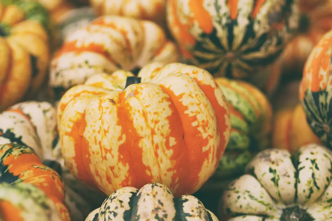 Panier de courges, poireaux, choux et légumes-racines fraîchement récoltés dans un potager français d’automne