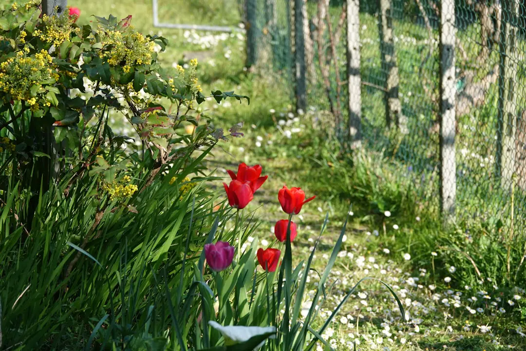 Livres de jardin ouverts sur une table en bois face à un massif printanier fleuri et un carnet de plans