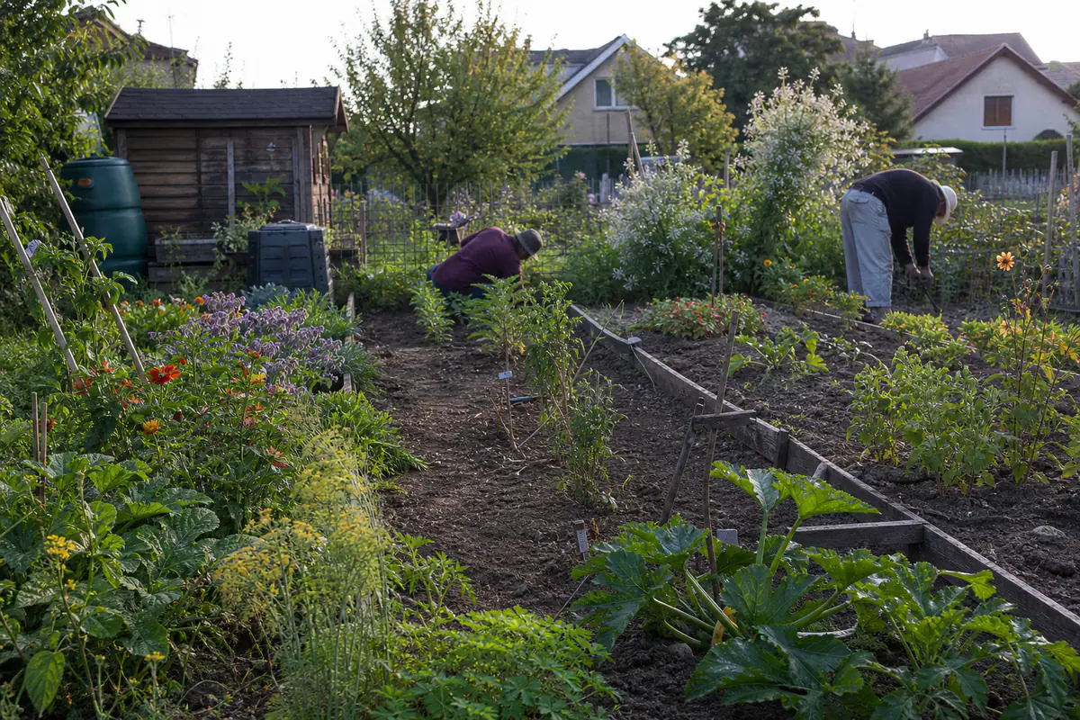 Jardiniers échangeant près de parcelles potagères fleuries dans un jardin collectif soigné et naturel