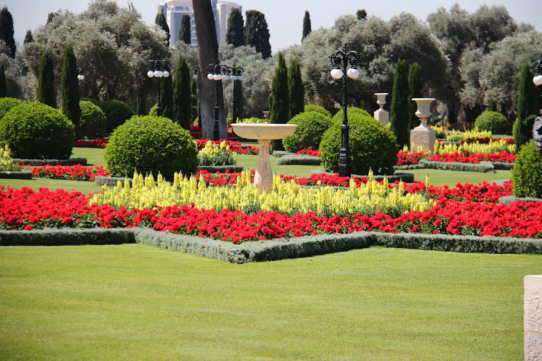Pelouse de jardin français au printemps avec bandes d’herbe haute fleuries et allée fraîchement tondue