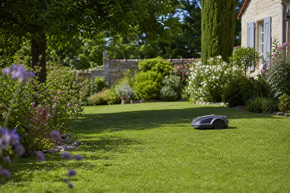 Robot tondeuse sans marque travaillant en plein jour sur une pelouse française bordée de massifs fleuris